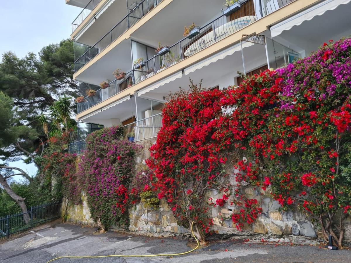 Rocce Di Capo Mimosa - Cervo Appartement Buitenkant foto